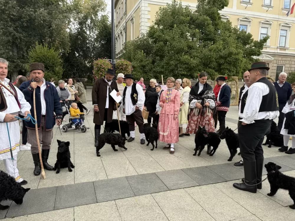 Pogača Fest oživio duh Slavonskog Broda – 20-metarska šokačka pogača za Guinnessa i nezaboravno slavlje na Korzu