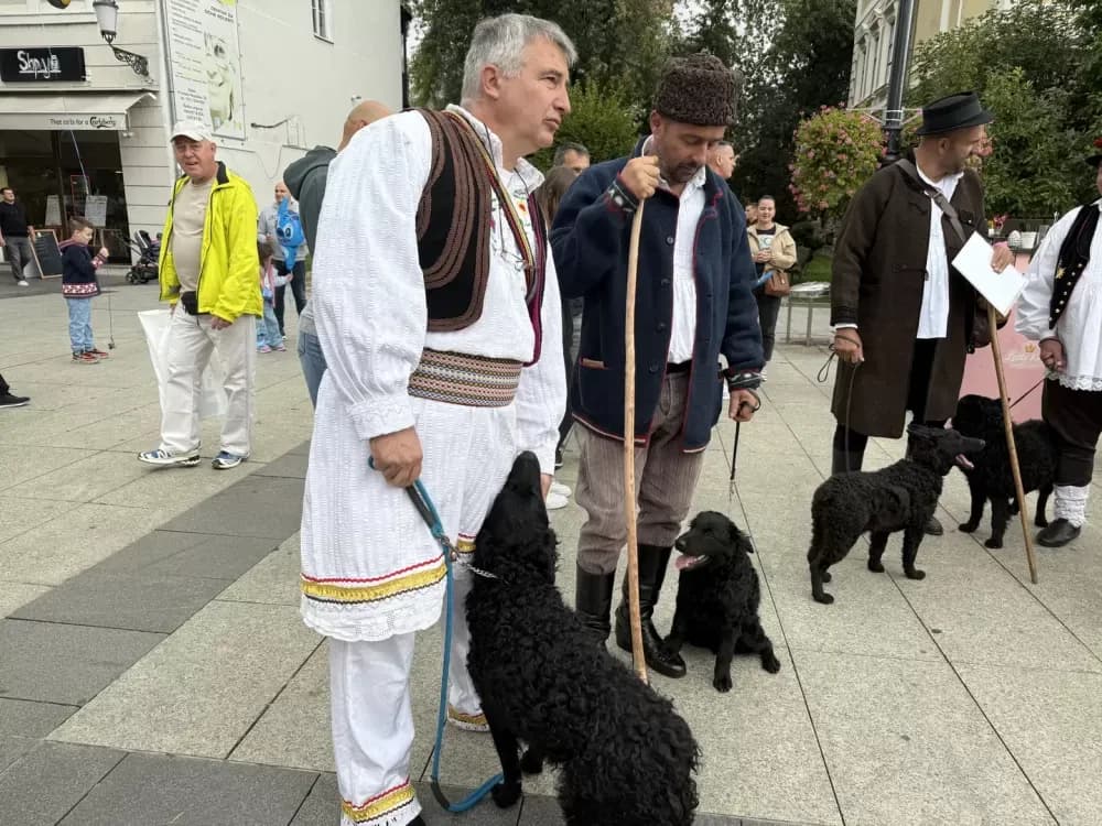 Pogača Fest oživio duh Slavonskog Broda – 20-metarska šokačka pogača za Guinnessa i nezaboravno slavlje na Korzu
