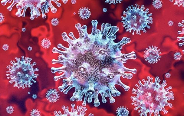 Požar sušare u Golobrdcima: Vatrogasci brzo reagirali i lokalizirali vatru