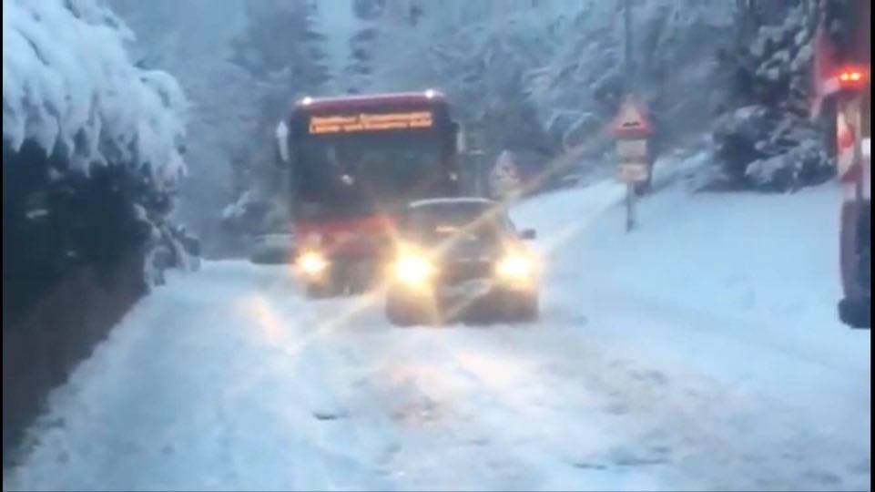 Martinje kod Zorice Tandare: Tradicija, pjesma i juneći gulaš umjesto svinjetine