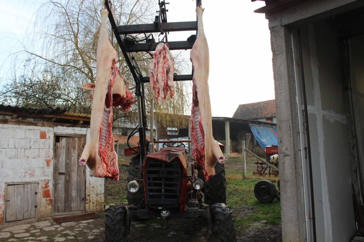 Martinje kod Zorice Tandare: Tradicija, pjesma i juneći gulaš umjesto svinjetine