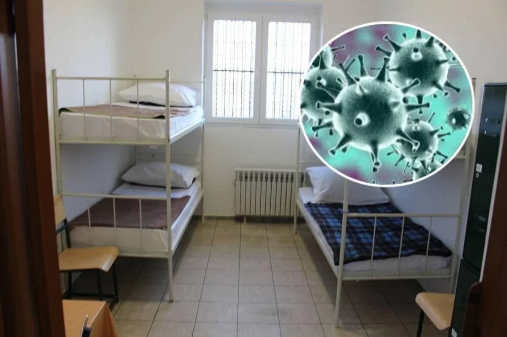 Nikad bolje Martinje u Kutjevu – tisuće planinara, gostiju i ljubitelja graševine uživalo u nezaboravnom danu