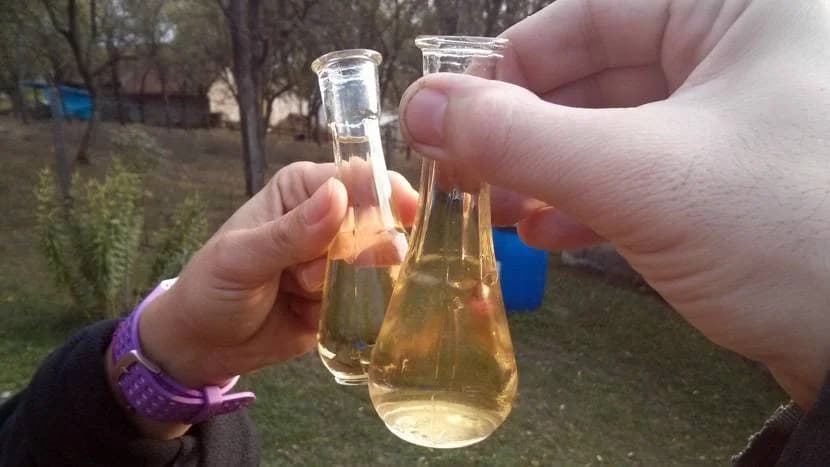 Ugrožena mnogima omiljena žestica: Iz Srbije i Bosne ulaze velike količine rakije upitne kvalitete