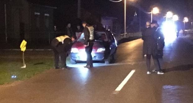 Kutjevačka tradicija osvojila Podgoricu: Martinje privuklo više od 500 gostiju