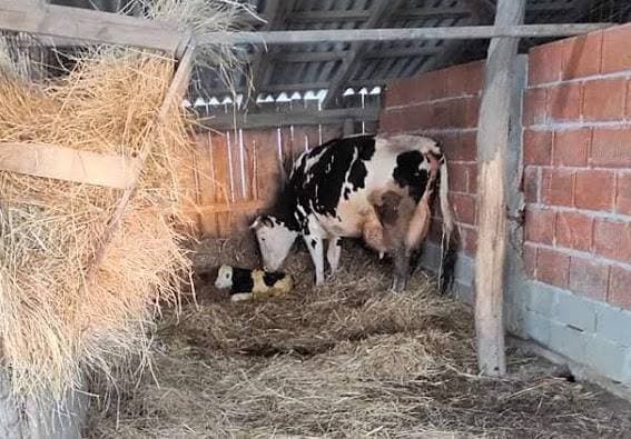 U šumskoj tišini Papuka ponovno izgovorena imena 11 hrvatskih heroja