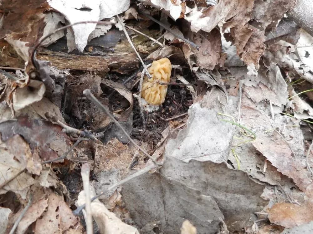 Prirodna bogatstva nisu neograničena! Iz Nature Slavonica pozivaju na obzir, savjesnost i oprez u prirodi