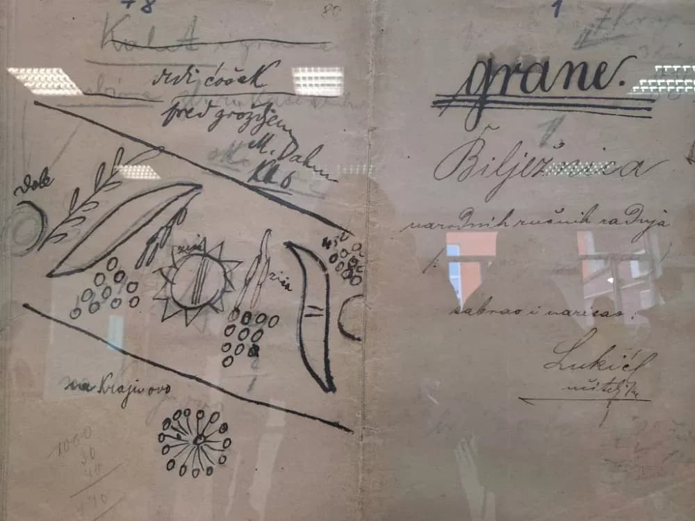 Znanstvenici u Klakaru raspravljaju o životu i nasljeđu učitelja Luke Lukića