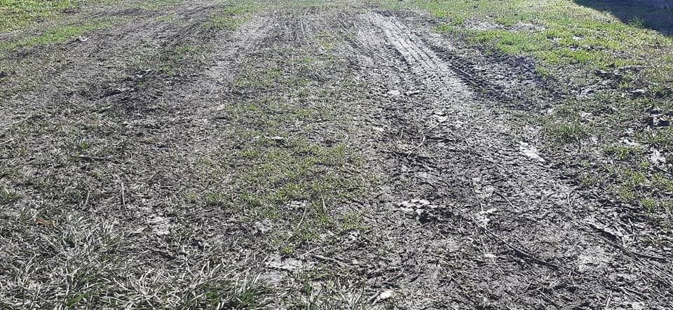 Zadrugari OŠ ʼDobriša Cesarićʼ: Od otpada do blagdanske čarolije