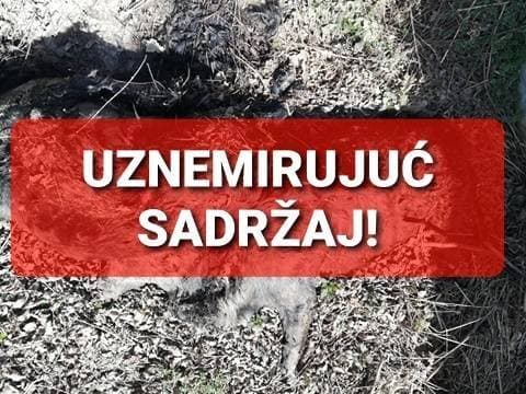 BEĆARSKI ŠOR: U veselom adventskom raspoloženju uz pikantni lovački čobanac i Tamburaški sastav „Zlatna dolina“