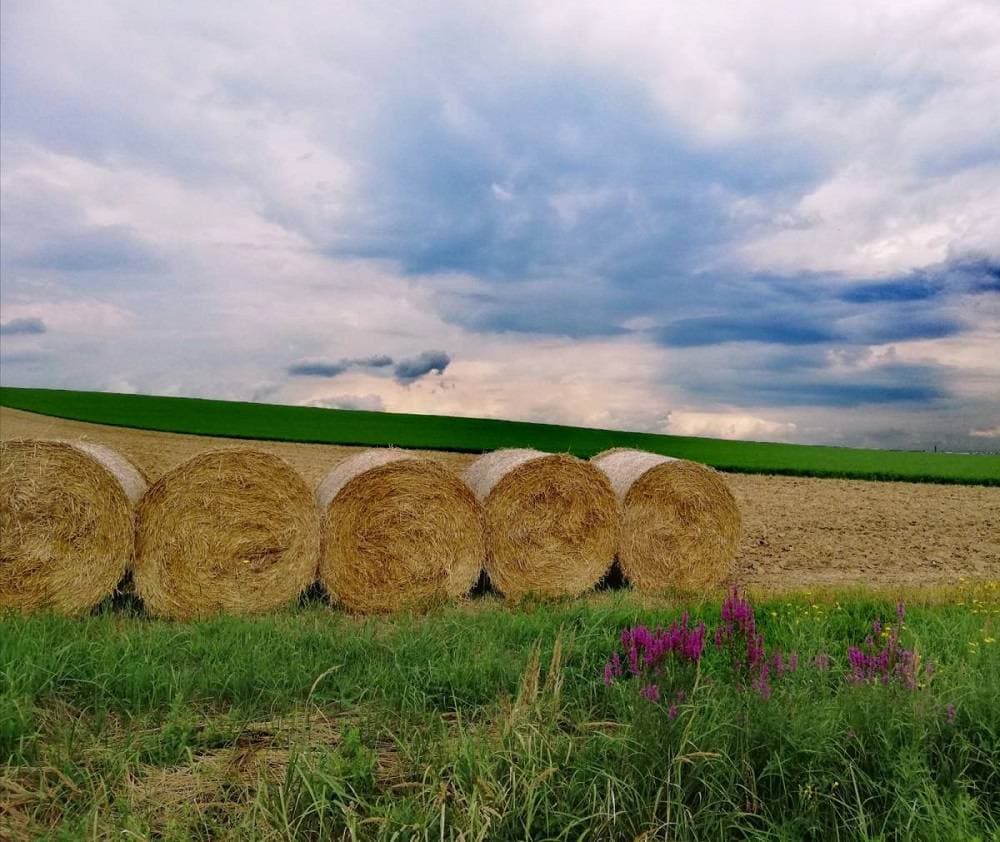 Jakšić dobio novu tradiciju: Veliki odaziv na adventsko druženje