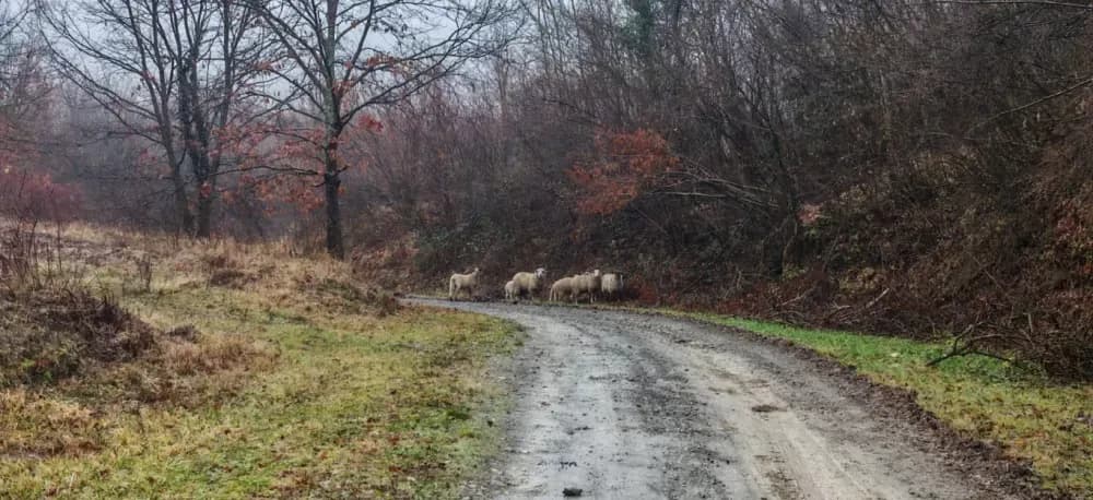 Blagdanski doživljaj na Dilju: Lovčić kao savršena adventska destinacija