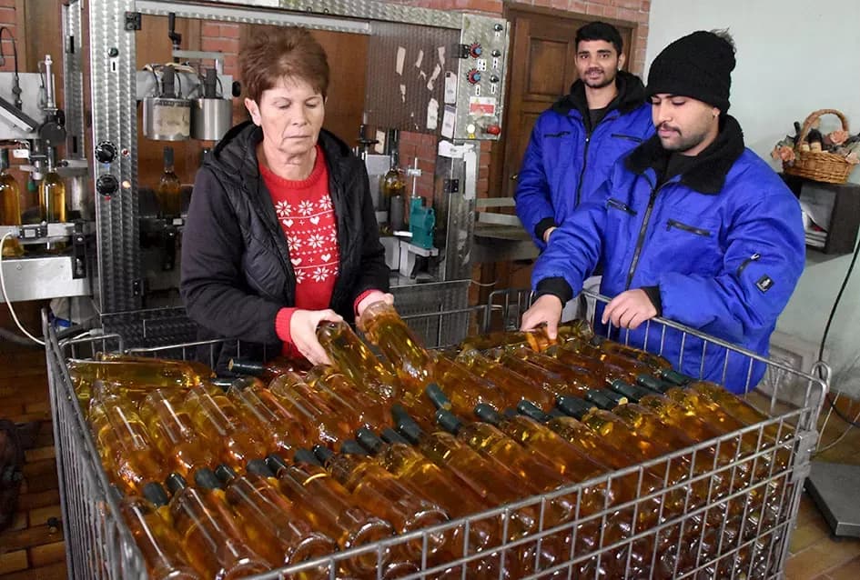 Vinski vizionar iz Hrnjevca: Ivo Enjingi uoči Badnjaka napunio šampionsko bijelo Venje 2015.