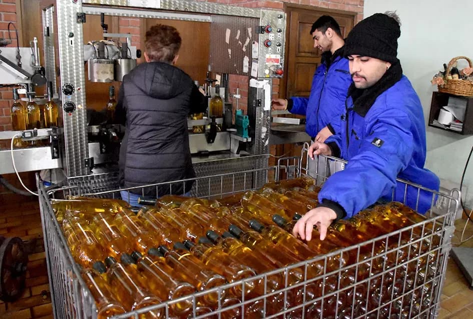 Vinski vizionar iz Hrnjevca: Ivo Enjingi uoči Badnjaka napunio šampionsko bijelo Venje 2015.