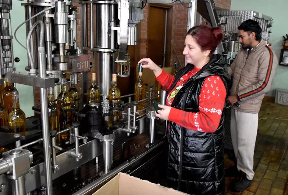 Vinski vizionar iz Hrnjevca: Ivo Enjingi uoči Badnjaka napunio šampionsko bijelo Venje 2015.