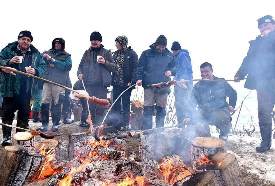 Ledena magija na Hrnjevcu: Na -8,4 °C Kutjevo d.d. obavilo povijesnu berbu za vrhunska vina