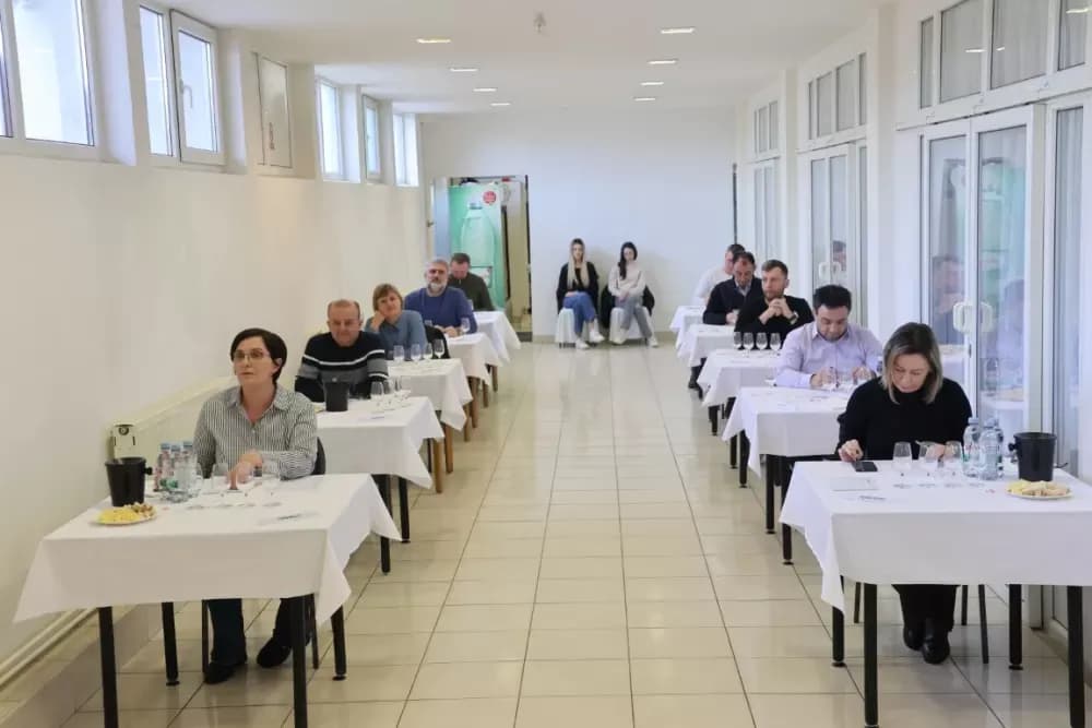 Udruga Igrač – primjer predanog rada i vinske izvrsnosti u Bukovlju