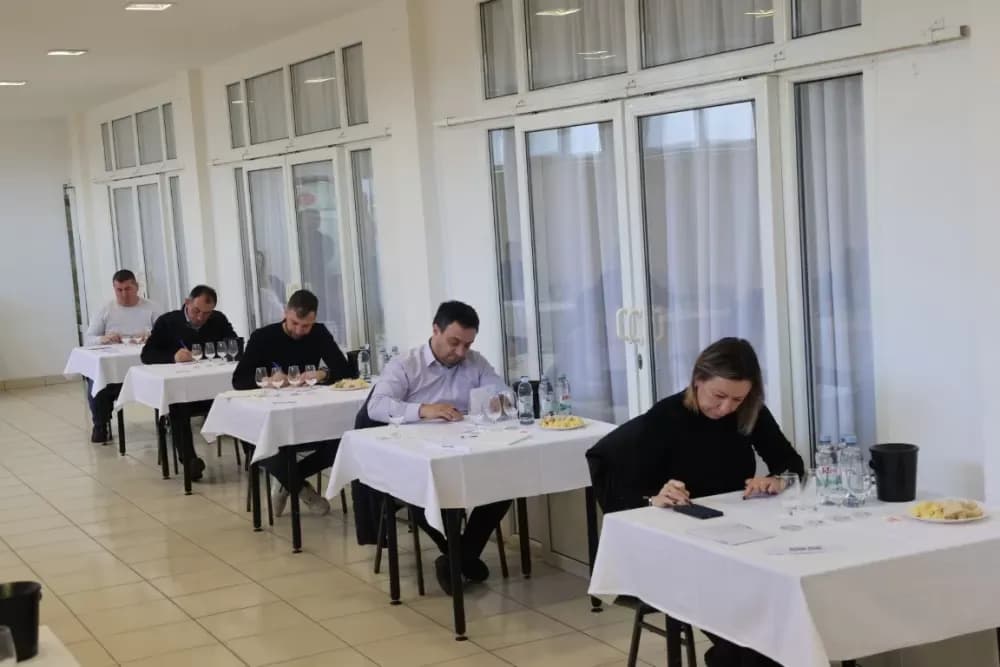 Udruga Igrač – primjer predanog rada i vinske izvrsnosti u Bukovlju