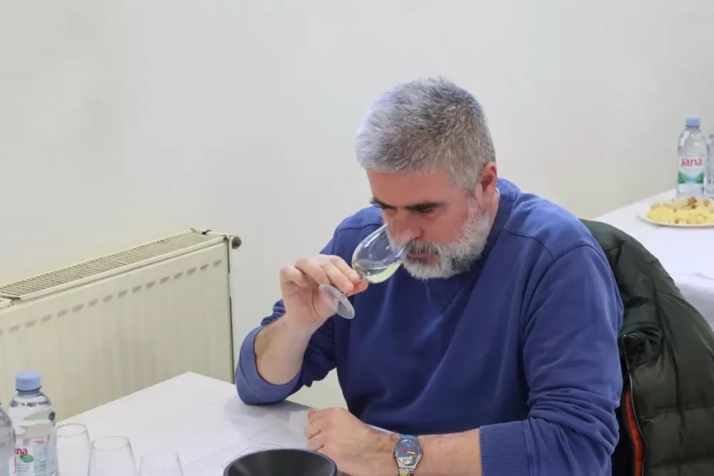 Udruga Igrač – primjer predanog rada i vinske izvrsnosti u Bukovlju