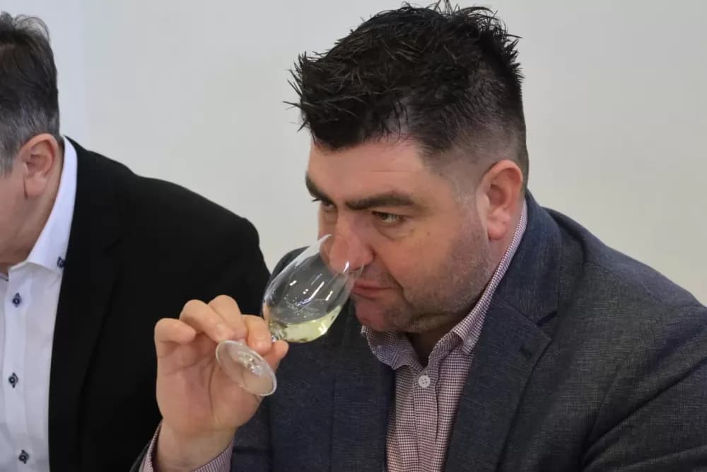 Udruga Igrač – primjer predanog rada i vinske izvrsnosti u Bukovlju