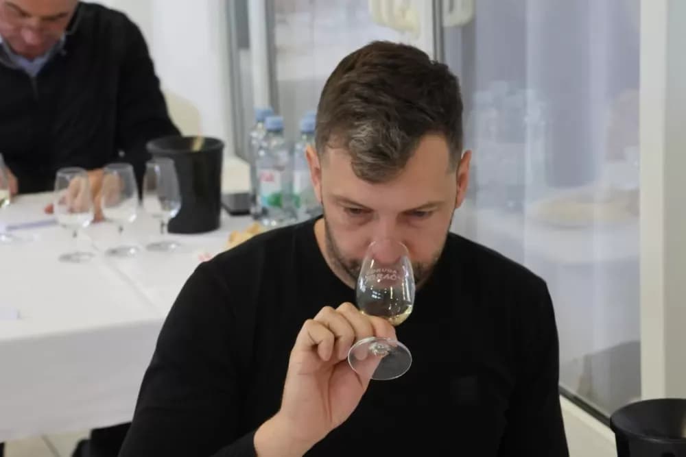 Udruga Igrač – primjer predanog rada i vinske izvrsnosti u Bukovlju