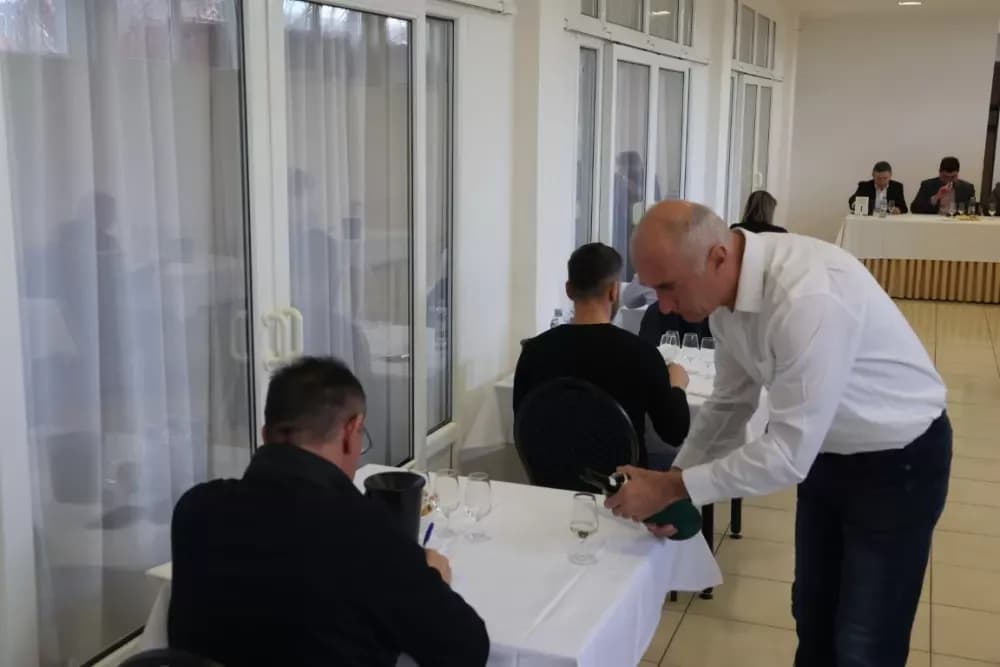 Udruga Igrač – primjer predanog rada i vinske izvrsnosti u Bukovlju
