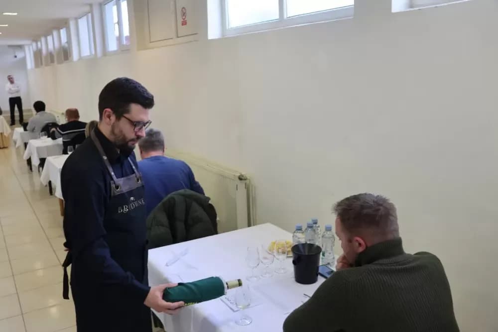 Udruga Igrač – primjer predanog rada i vinske izvrsnosti u Bukovlju