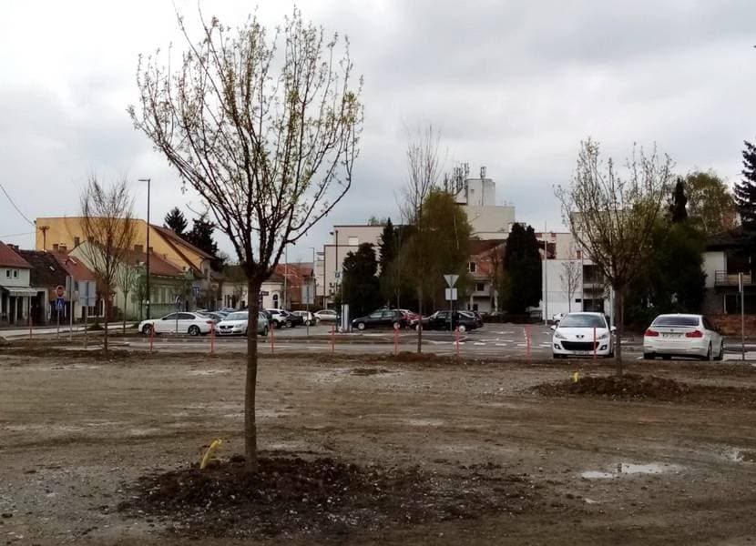 Vincelovo u Biškupcima potvrdilo status jedne od najvećih proslava u Požeštini