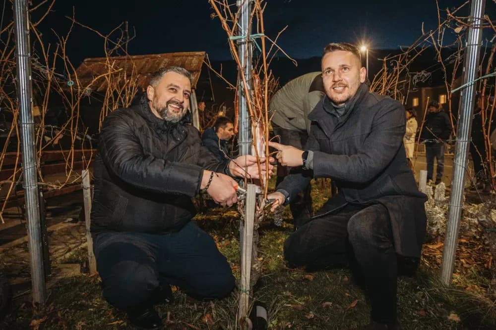 Kutjevačko vincelovo uz Ivana Štivića za pamćenje