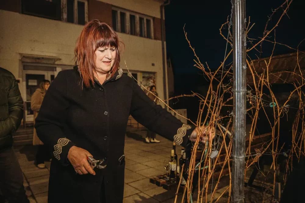 Kutjevačko vincelovo uz Ivana Štivića za pamćenje
