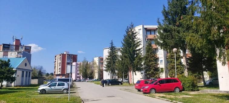 Tradicija koja ne poznaje odmor: Mladi agronom Josip Mitrović u zimskoj rezidbi obiteljskog šljivika