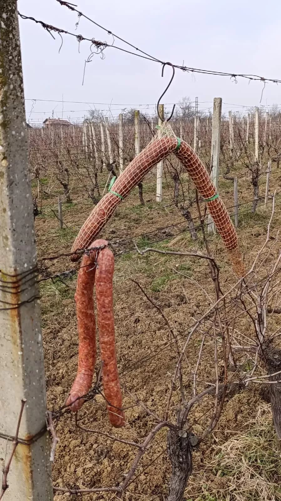 U FRANJEVAČKOM VINOGORJU OBILJEŽEN SPOMENDAN SV. VINKA