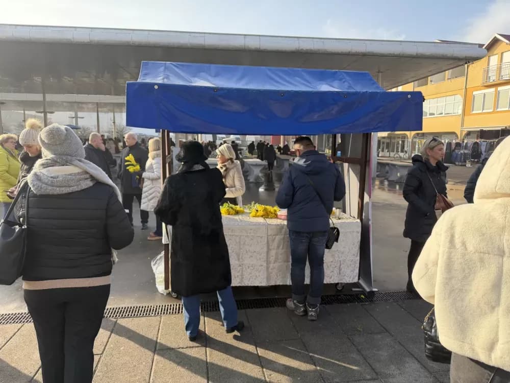 Dan mimoza obilježen na Gradskoj tržnici - prevencija spašava živote