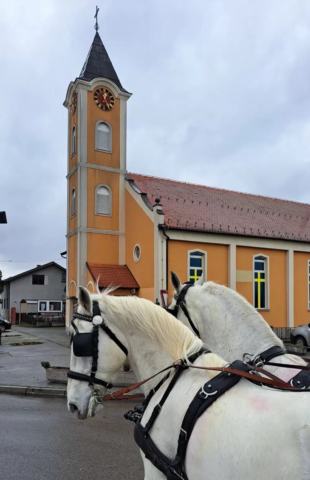20. POKLADNO JAHANJE U RUŠČICI - Više od 50 pokladnih konjanika projahalo ruščičkim šorovima