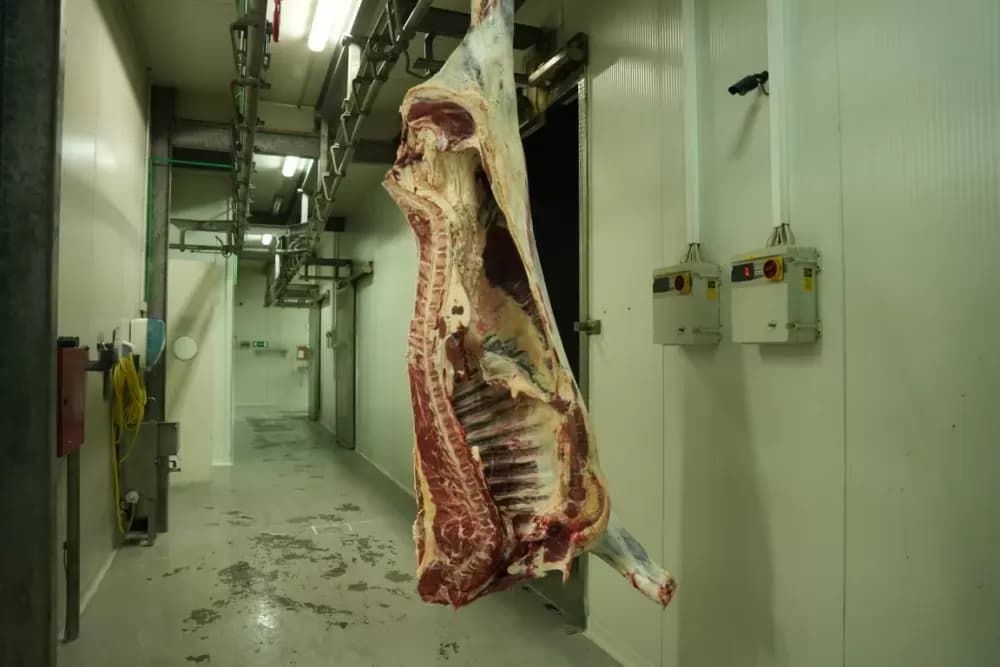 Slavonska priča iz Davora i Lužana koja vraća vjeru u selo: Gelemanovići šire poljoprivrednu proizvodnju i maloprodaju