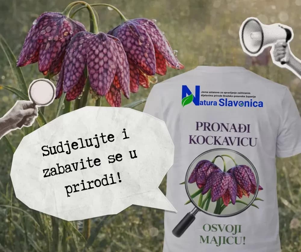 Pronađi kockavicu – osvoji majicu!