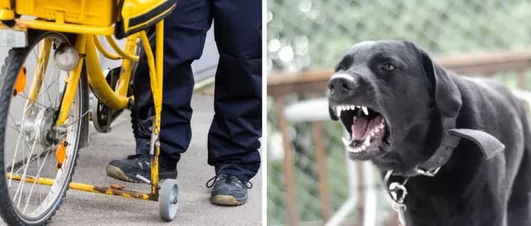 Pas nije bio zadovoljan pošiljkom: poštar završio na pregledu