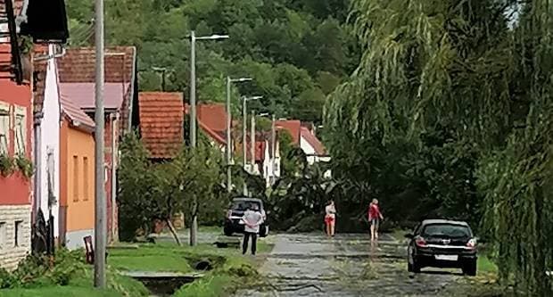 Lovci pleterničke Šljuke u godini jubileja imaju niz aktivnosti