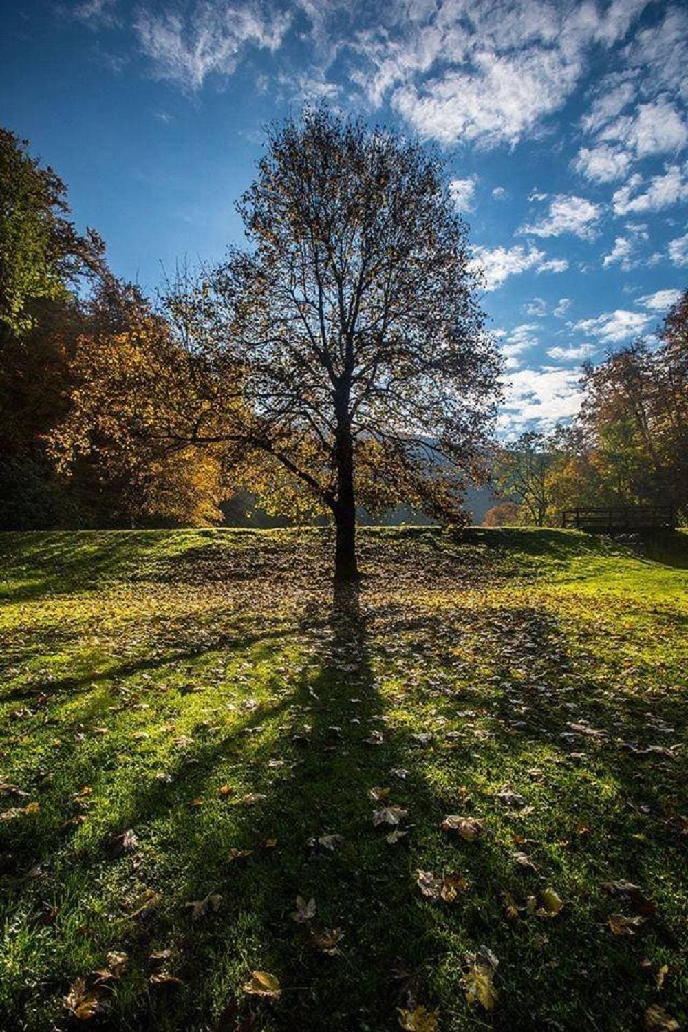 Veličke odbojkašice sa 200 kolegica slavile Dan žena, a dio prihoda daju humanitarno