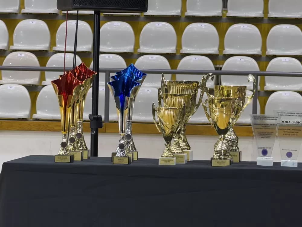 Slavonski Brod nagradio najbolje sportaše 2025.: Veočić i Tot na vrhu