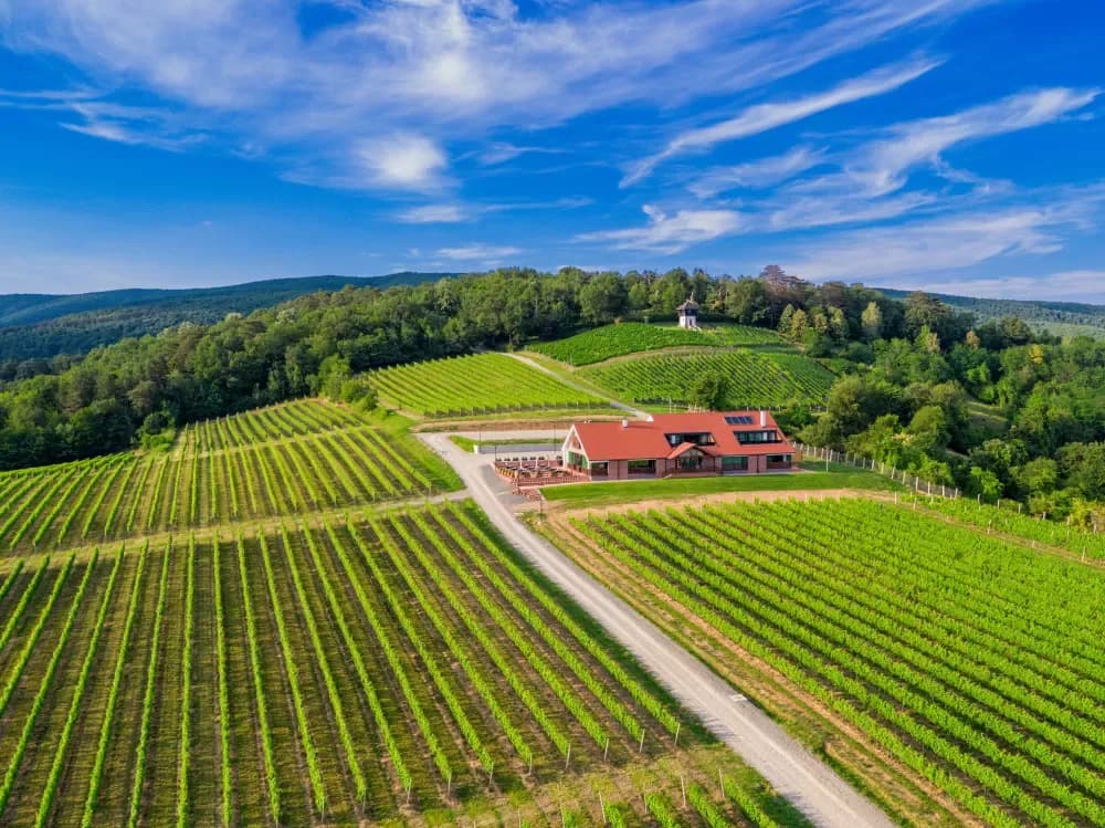 Slavonska kuća Vinkomir: Gastronomski dragulj kutjevačkog vinogorja uvršten u prestižni vodič Gault&Millau Croatia 2026