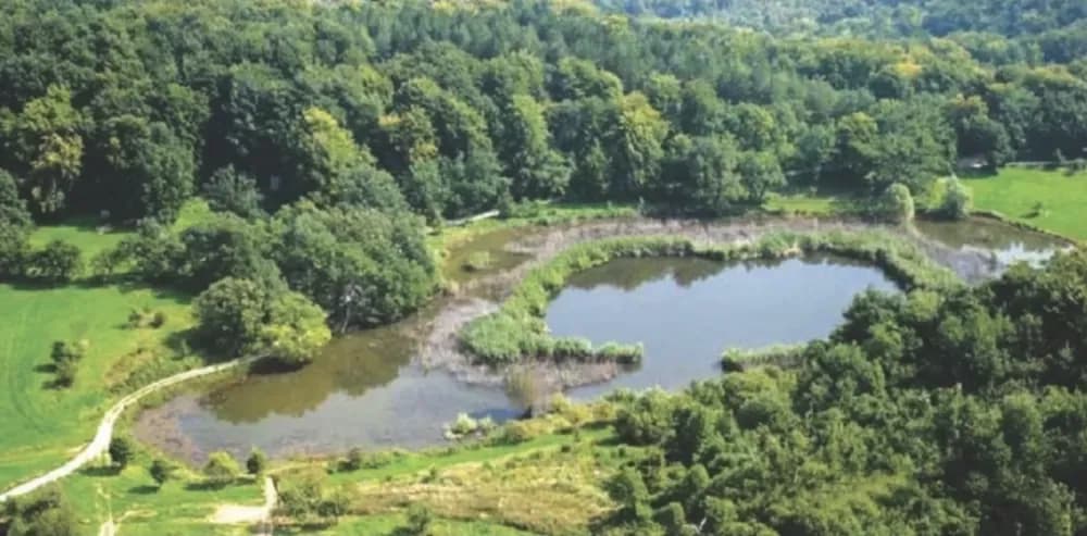 Ovo jezero zovu ʼModrim okom Slavonijeʼ, a smatra se posljednjim ostatkom