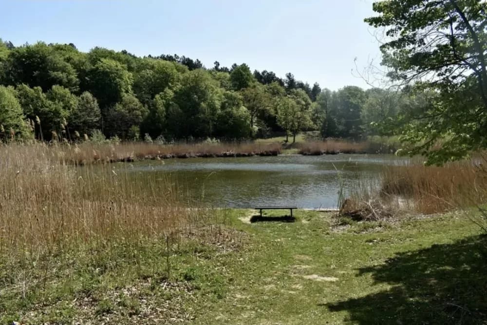 Ovo jezero zovu ʼModrim okom Slavonijeʼ, a smatra se posljednjim ostatkom