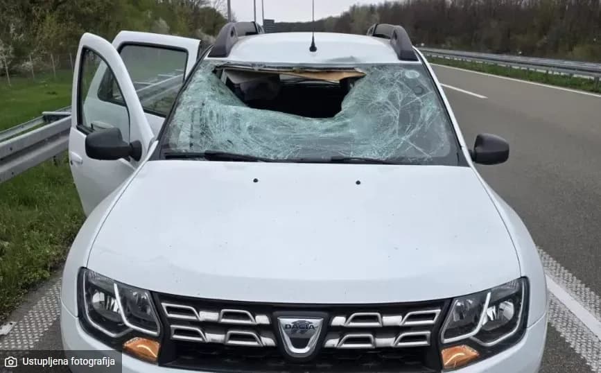 Srna mu razbila ‘šajbu’ i uletjela u auto! Osječanin opisuje dramatične trenutke s autoceste