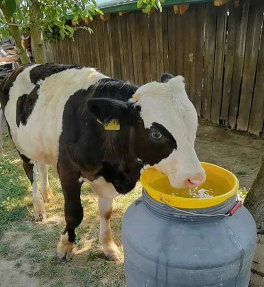 Križni put na požeškoj Kalvariji okupio brojne vjernike na Veliki petak