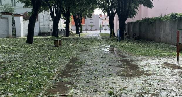 Ivica Kovačević novi predsjednik Županijskog lovačkog saveza