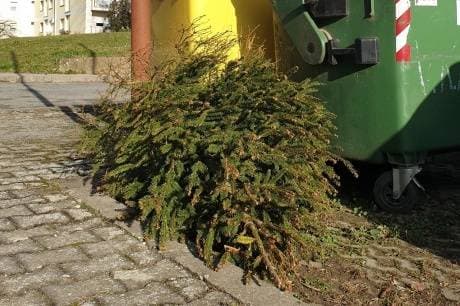 Foto 137615