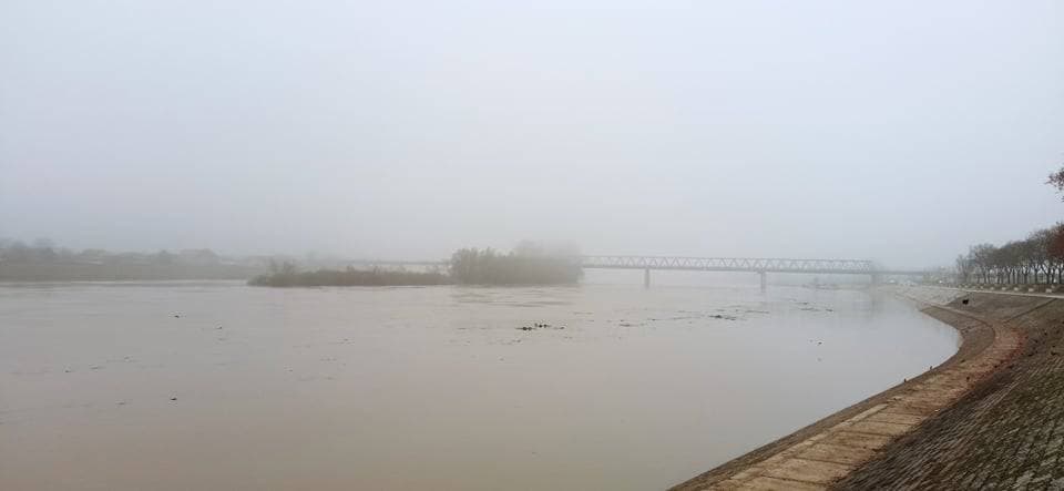 Foto 137683