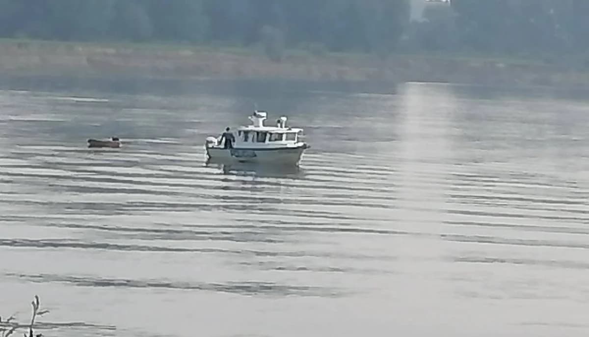 Foto 168041