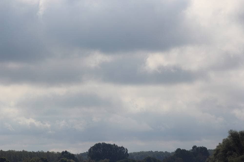 Foto 172694