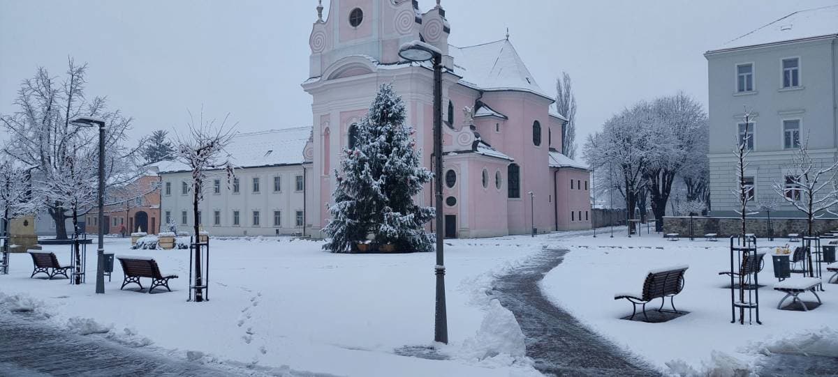 Foto 173886